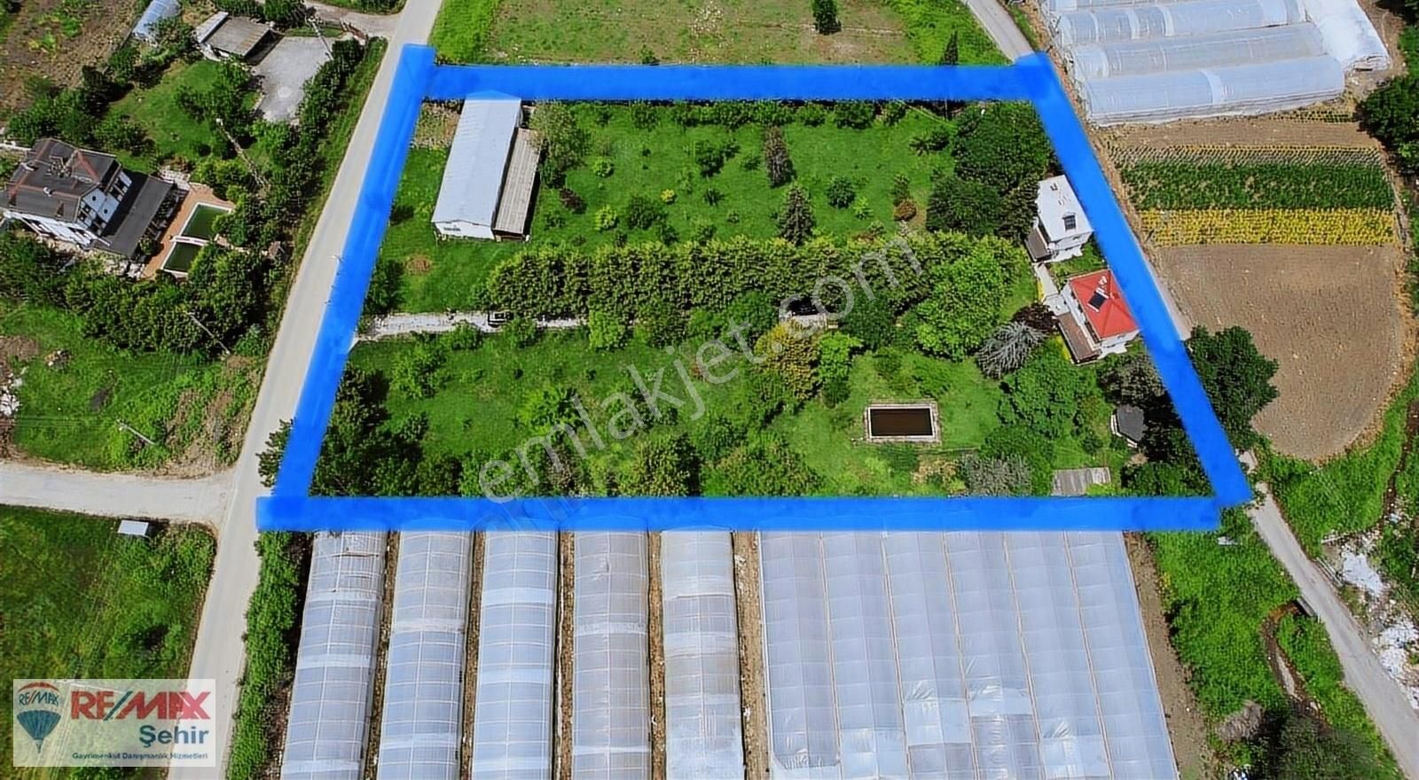 Yalova Kazımiye'de Asfalt Yola Cephe Çiftlik