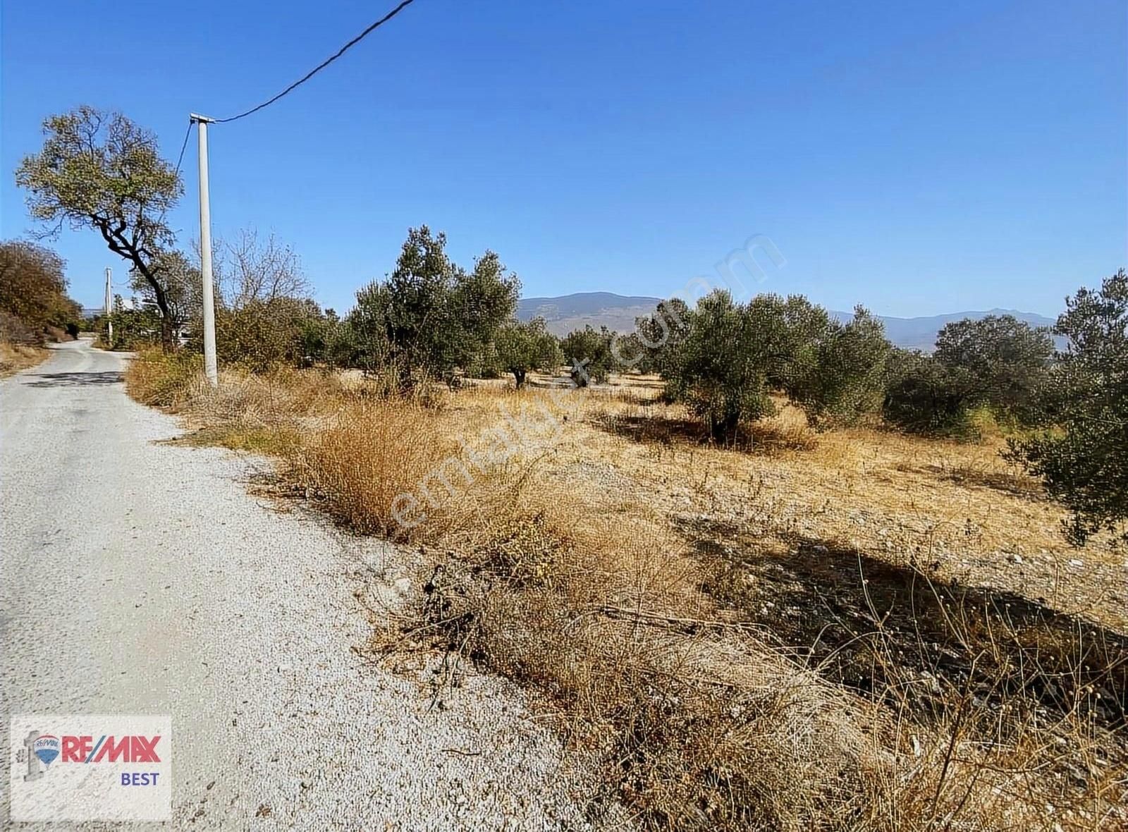 Remax Best Tuğyan Can Koç'tan Satılık Tarla