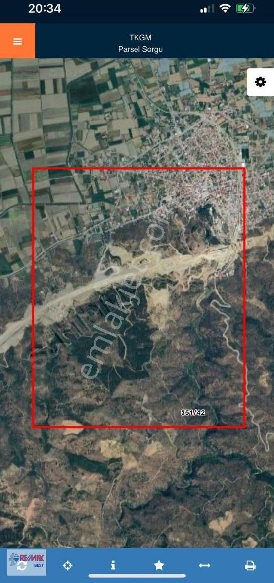 Aydın Yenipazar'da Satılık Zeytinlik