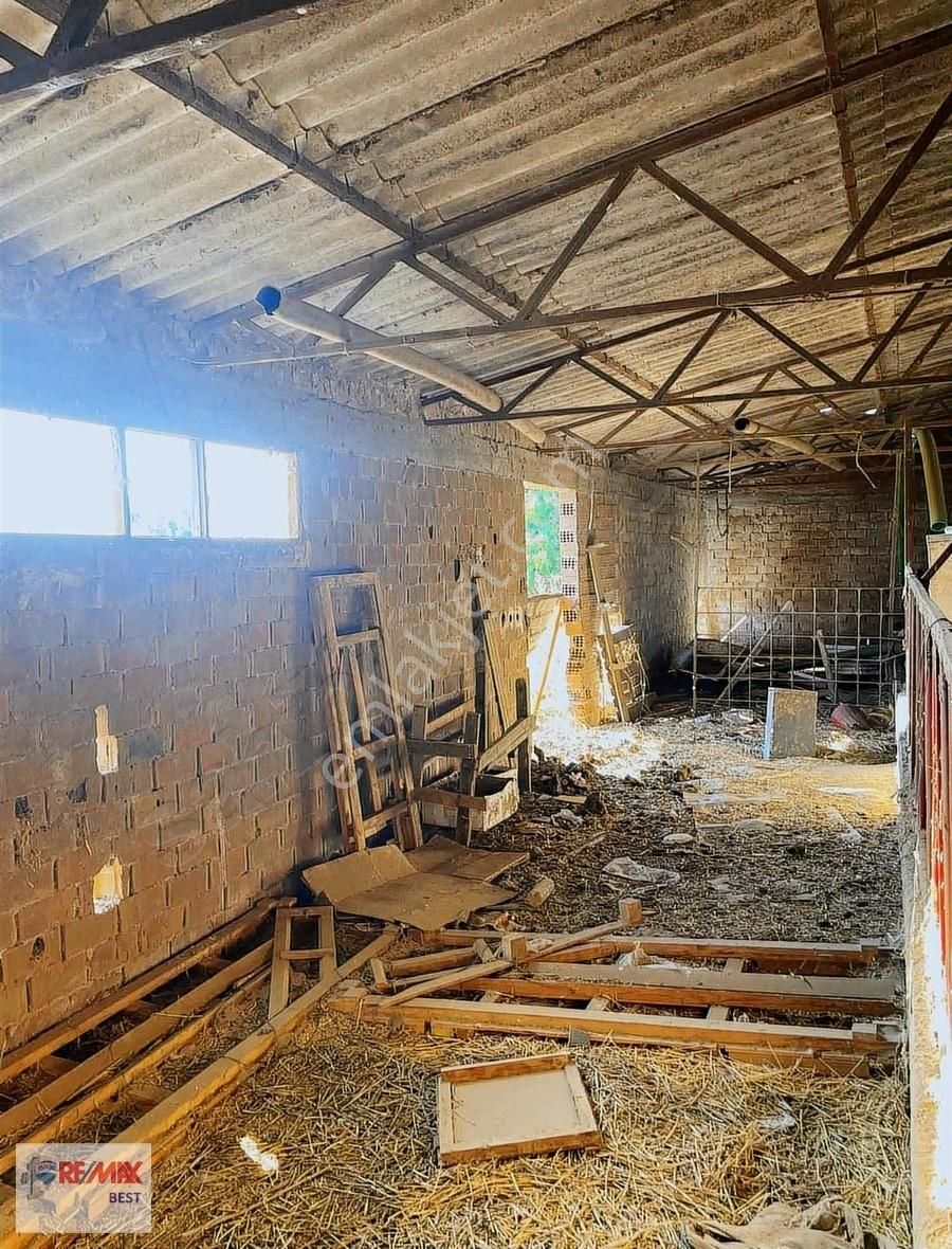 Bergama'da Hayvan Çiftliği Ve Tarla