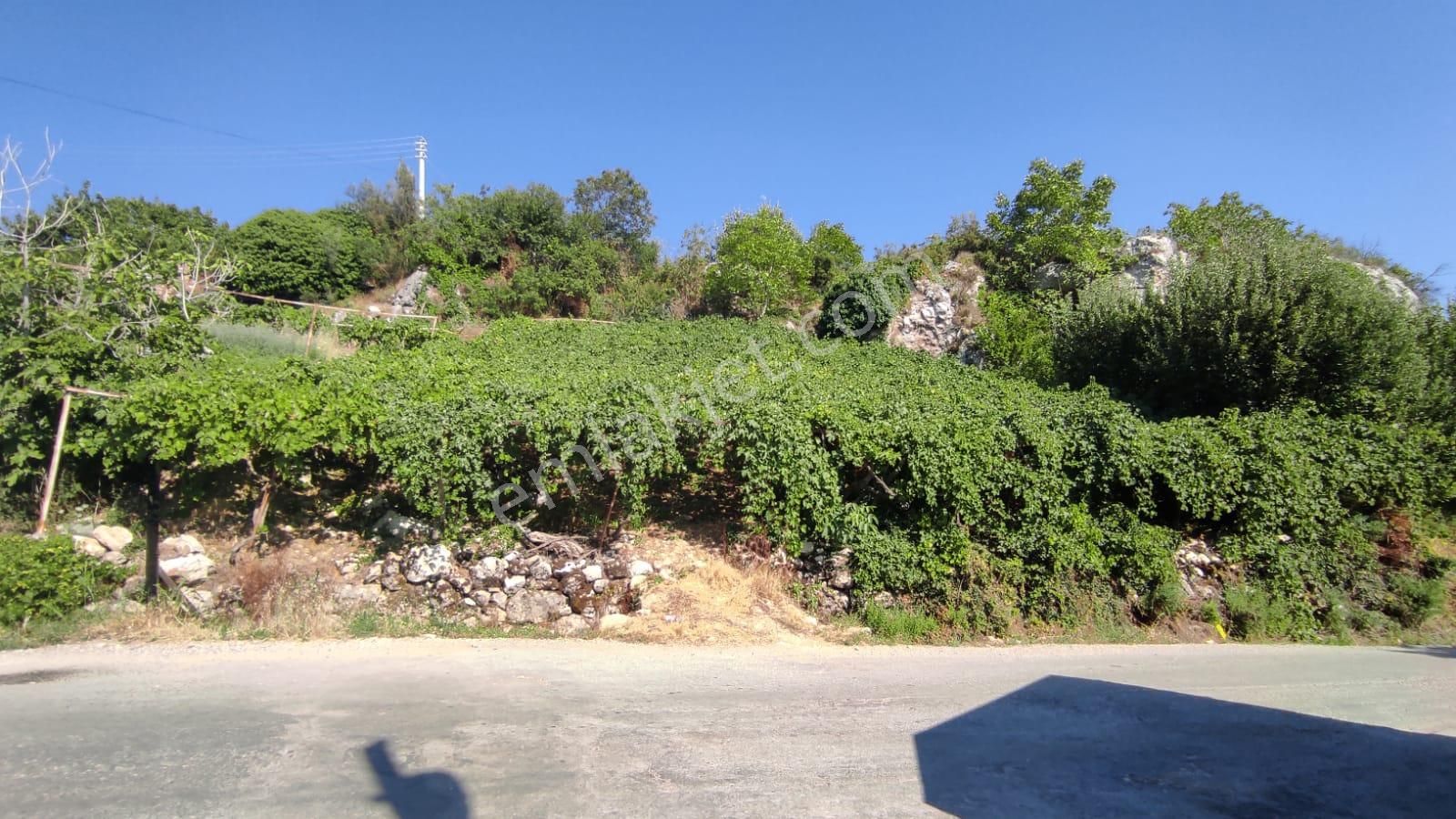 Fethiye Seydikemer Arsa Köyde 498 M2 Tek Tapu