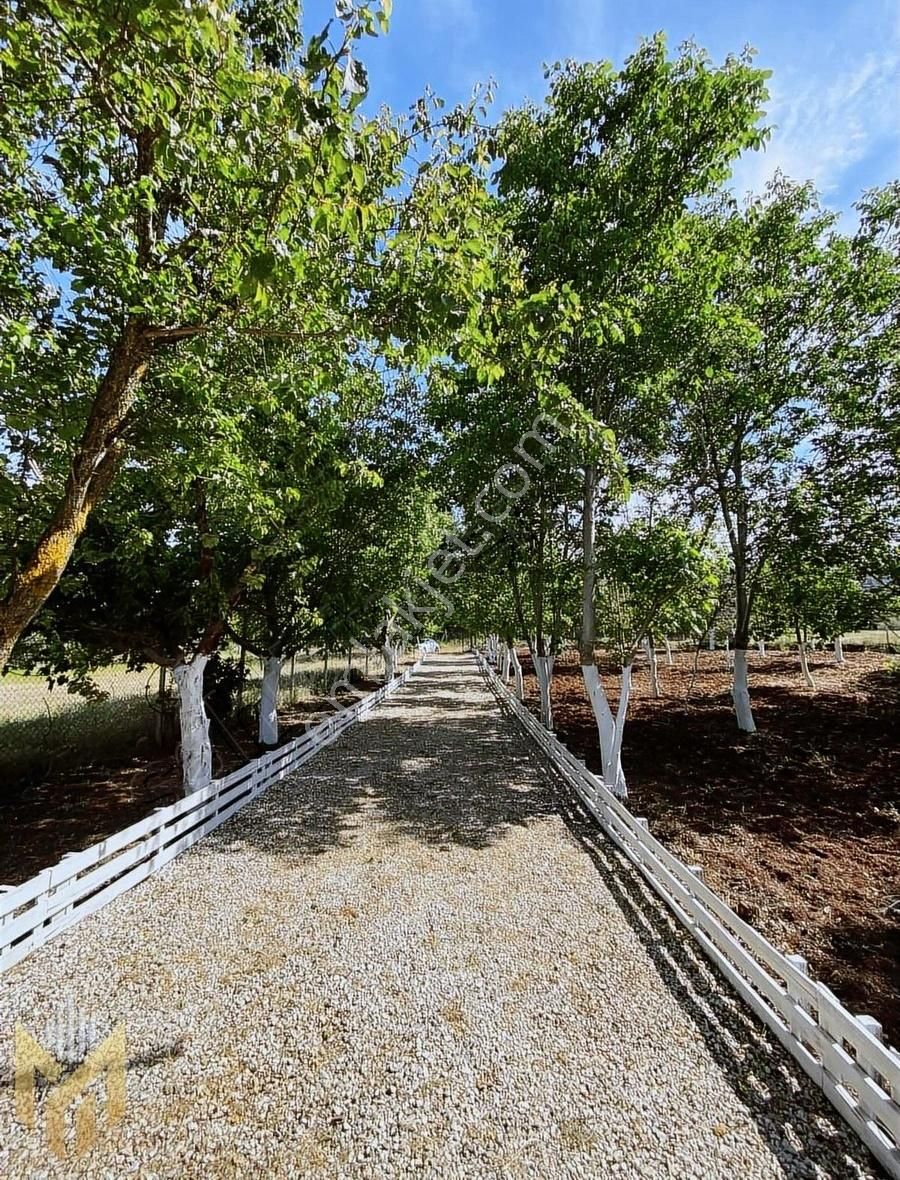 Karataşda 1800m2 Arsa İçinde Emsalsiz Bir Müstakil Ev Satışta !!