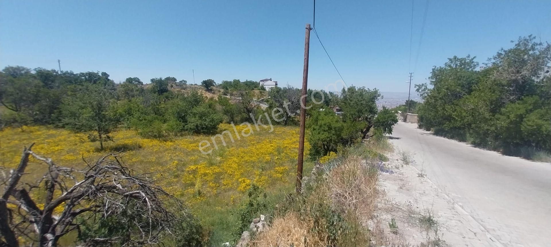 Hacılar Akdamda 1055 M2 Tek Tapu Köşe Başı İmarlı Villa Parseli - Görsel 6