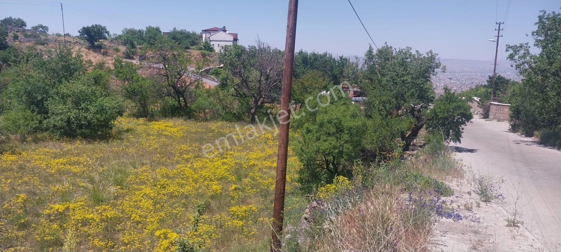 Hacılar Akdamda 1055 M2 Tek Tapu Köşe Başı İmarlı Villa Parseli - Görsel 9
