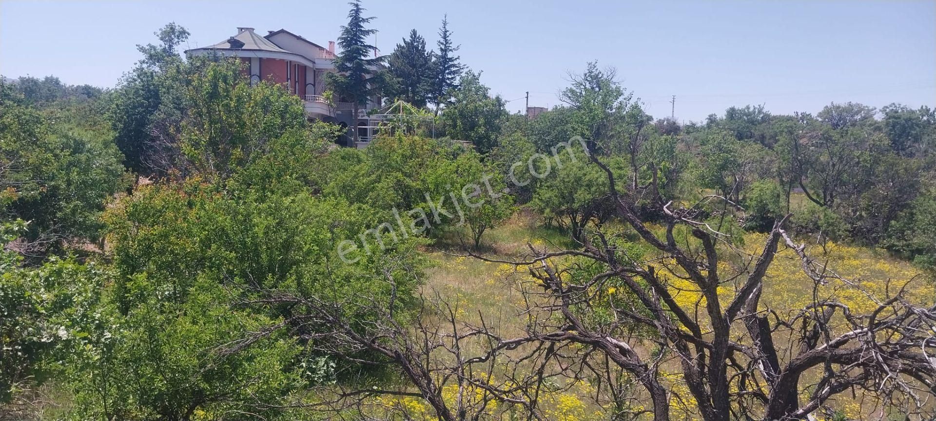Hacılar Akdamda 1055 M2 Tek Tapu Köşe Başı İmarlı Villa Parseli - Görsel 5