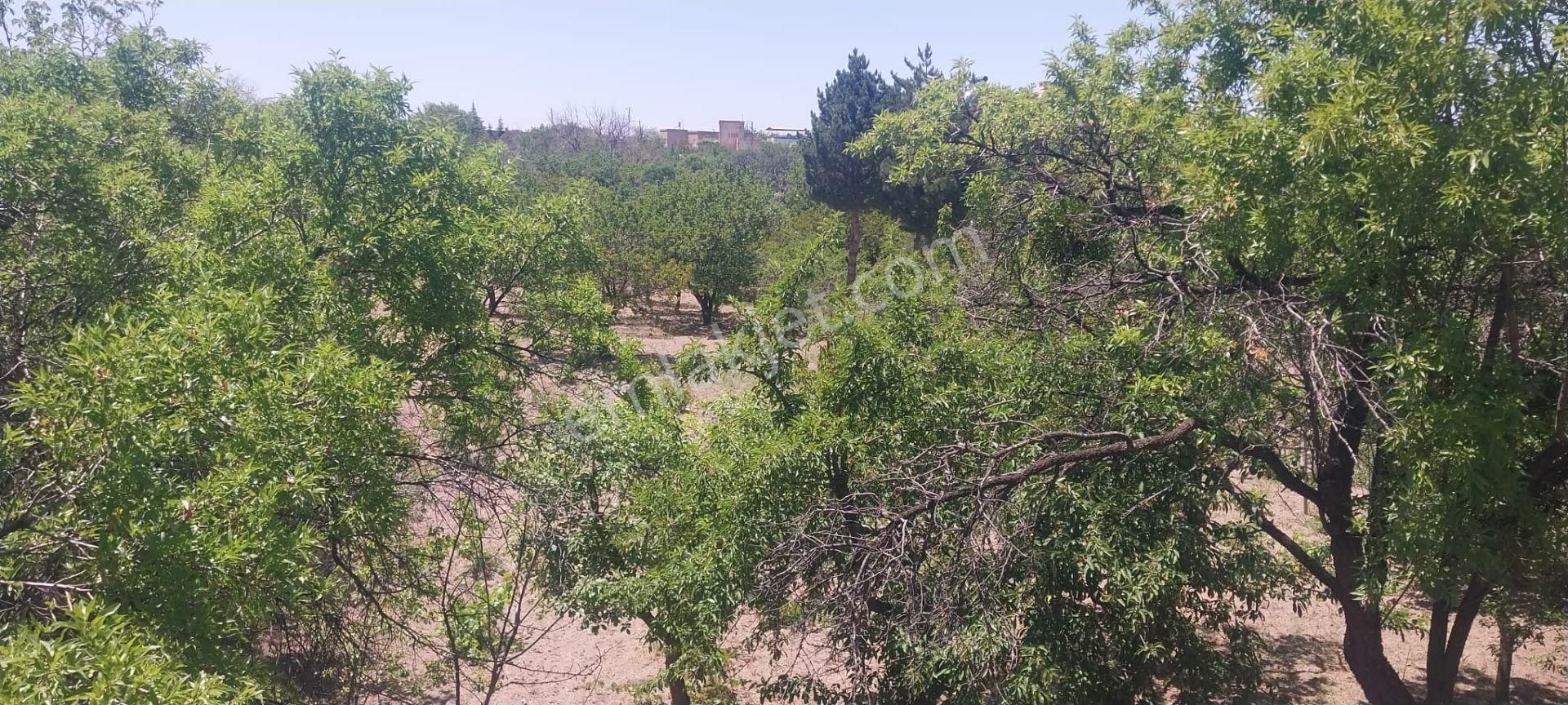 Hacılar Akdamda 1822 M2 Tek Tapu Köşe Başı İmarlı Villa Parseli - Görsel 4