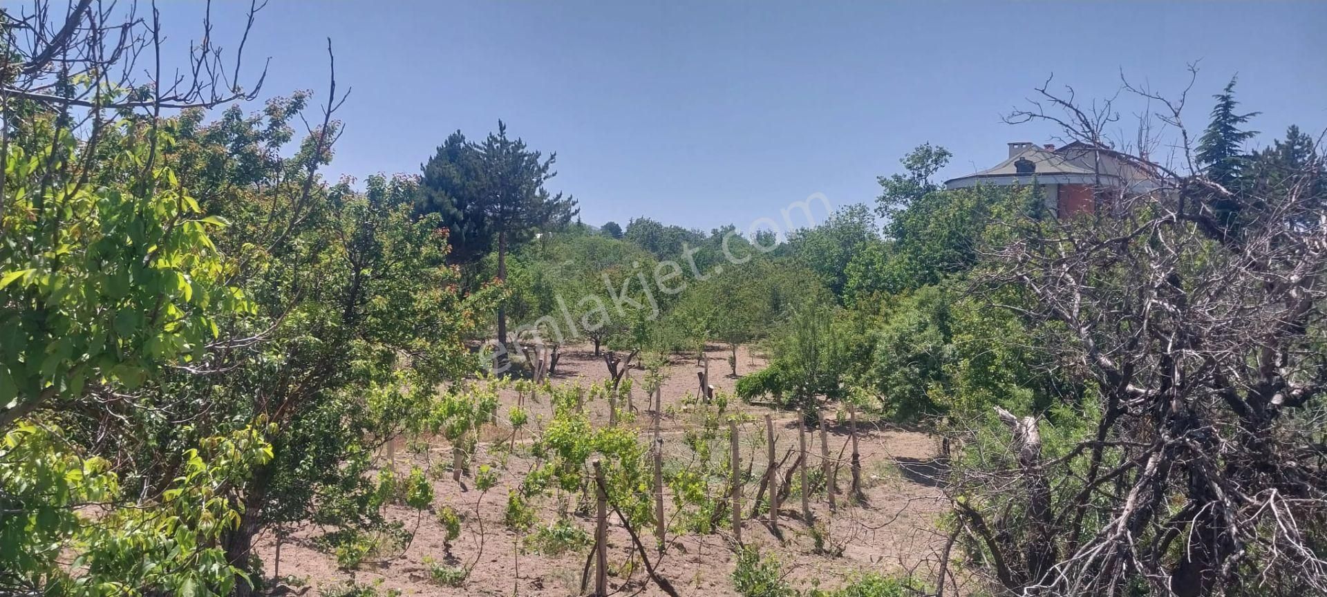 Hacılar Akdamda 1822 M2 Tek Tapu Köşe Başı İmarlı Villa Parseli - Görsel 6