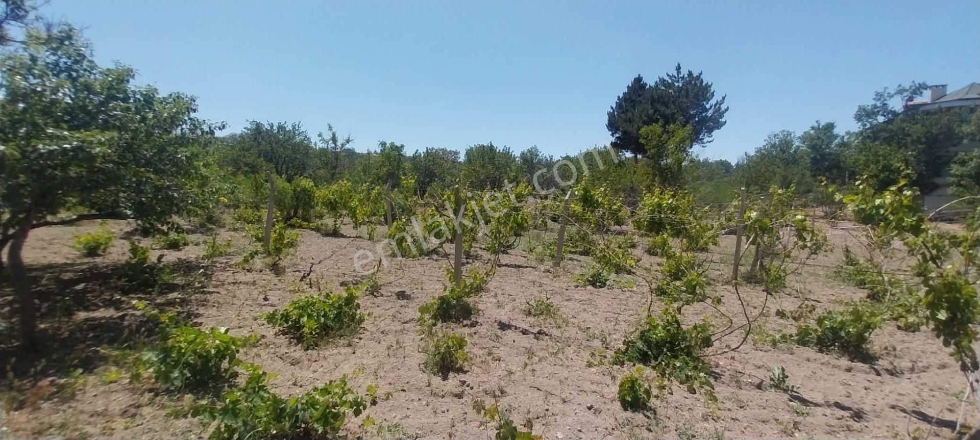 Hacılar Akdamda 1822 M2 Tek Tapu Köşe Başı İmarlı Villa Parseli - Görsel 11