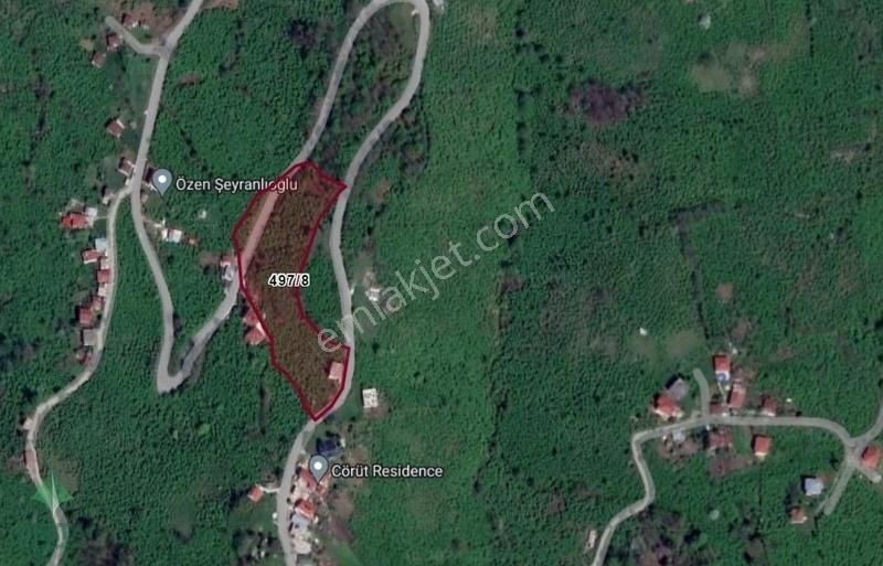 Ordu Gülyalı'da Deniz Manzaralı Arsa ! Ev Dahil