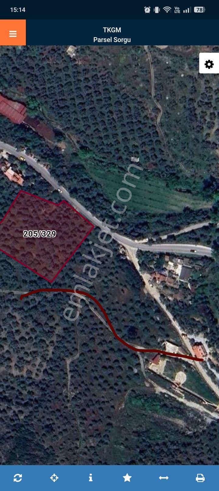 Şirince Satılık Zeytinlik - Görsel 6