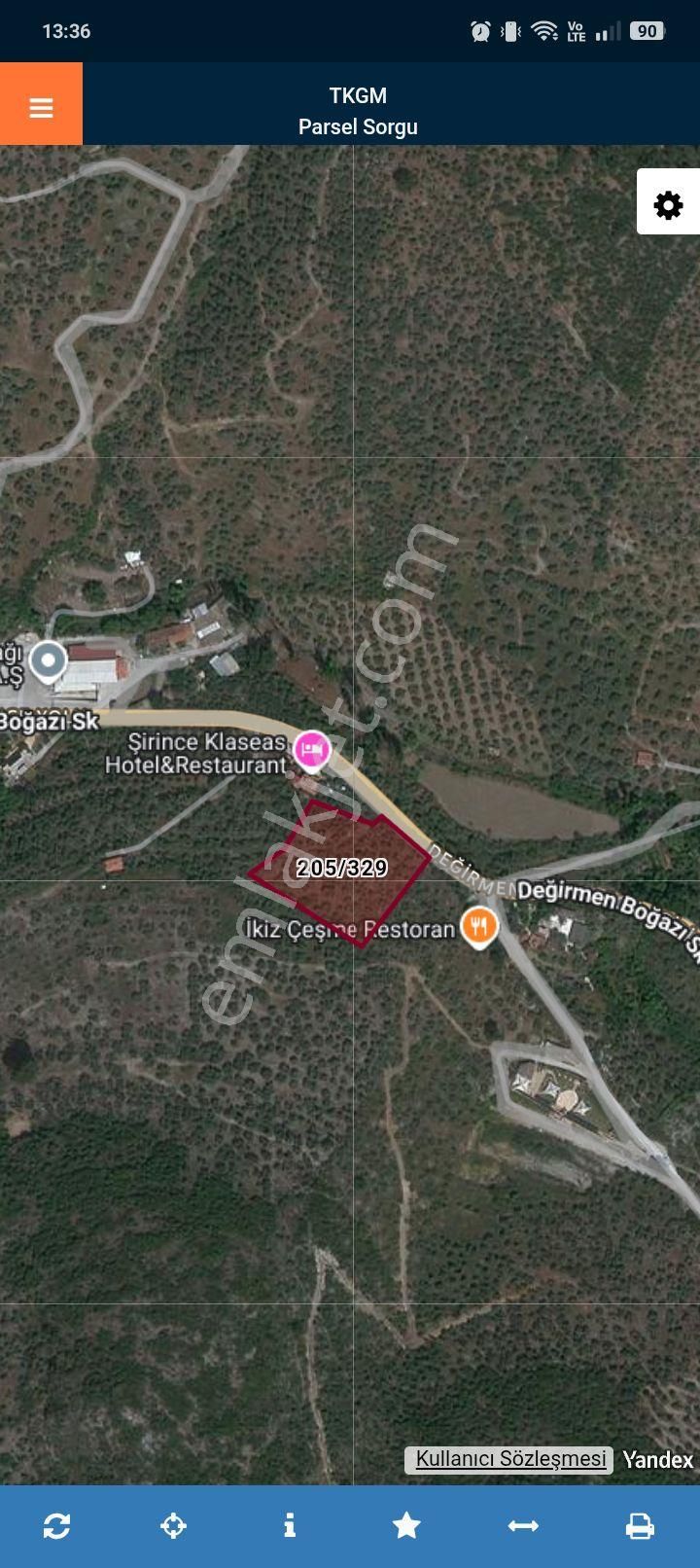 Şirince Satılık Zeytinlik - Görsel 4