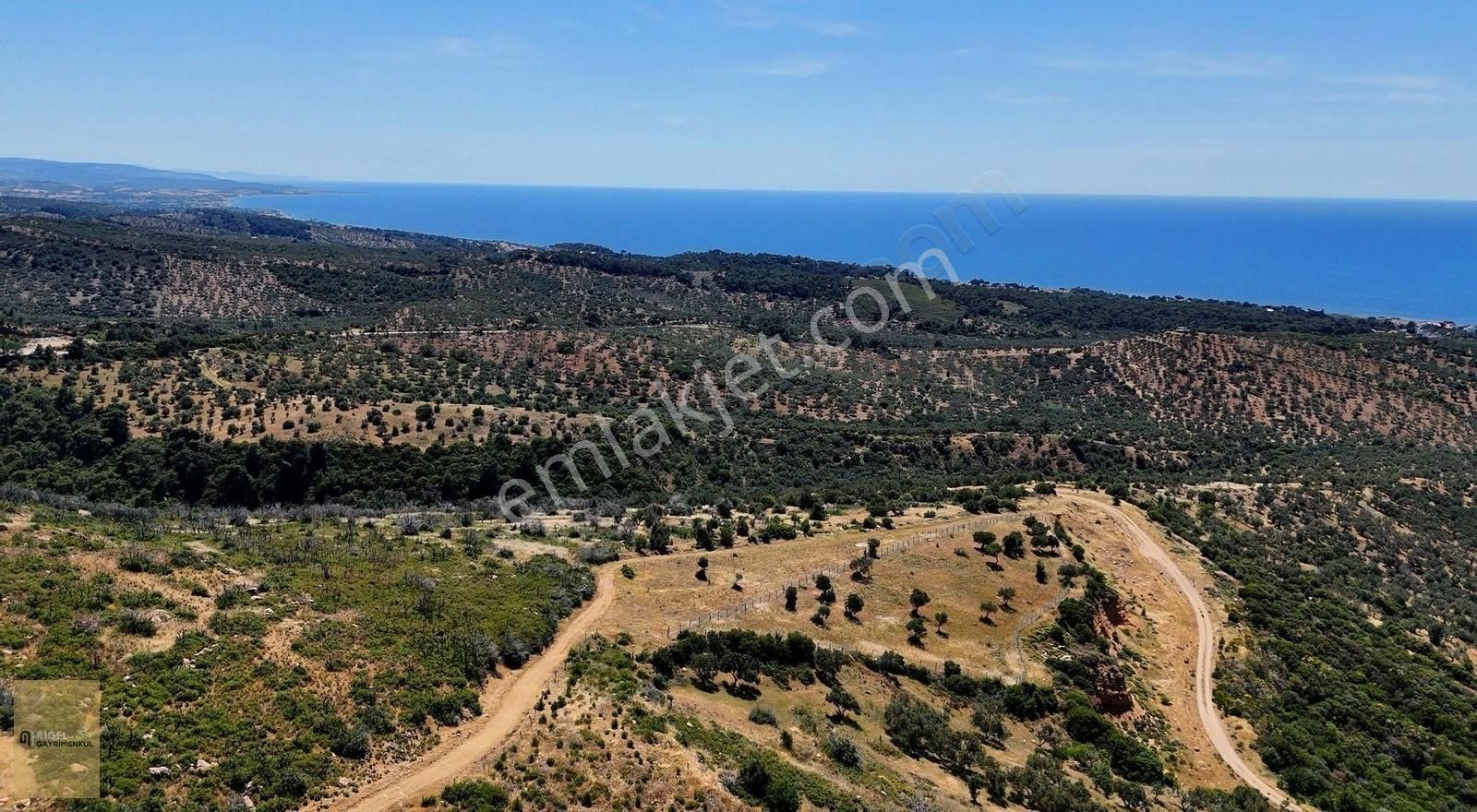 Ezine Tavaklıda Komple Deniz Ve Bozcada Manzaralı Zeytinlik!