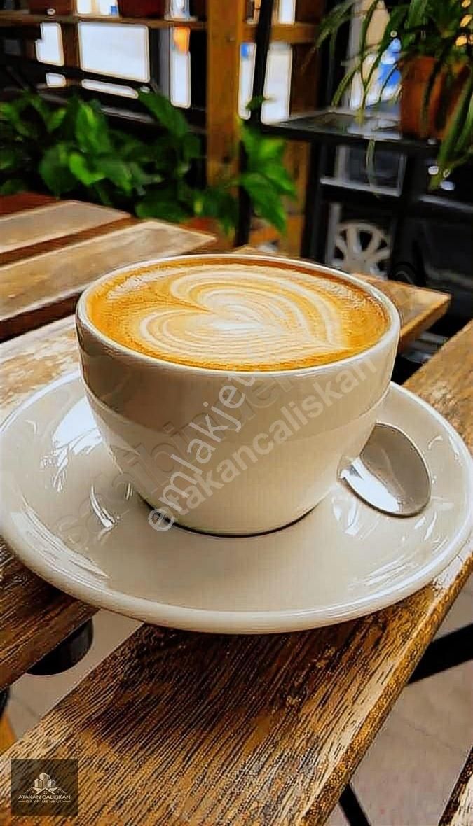 Adliye Bölgesi Plaza Altı Devren Kiralık Kurulu Düzen Cafe