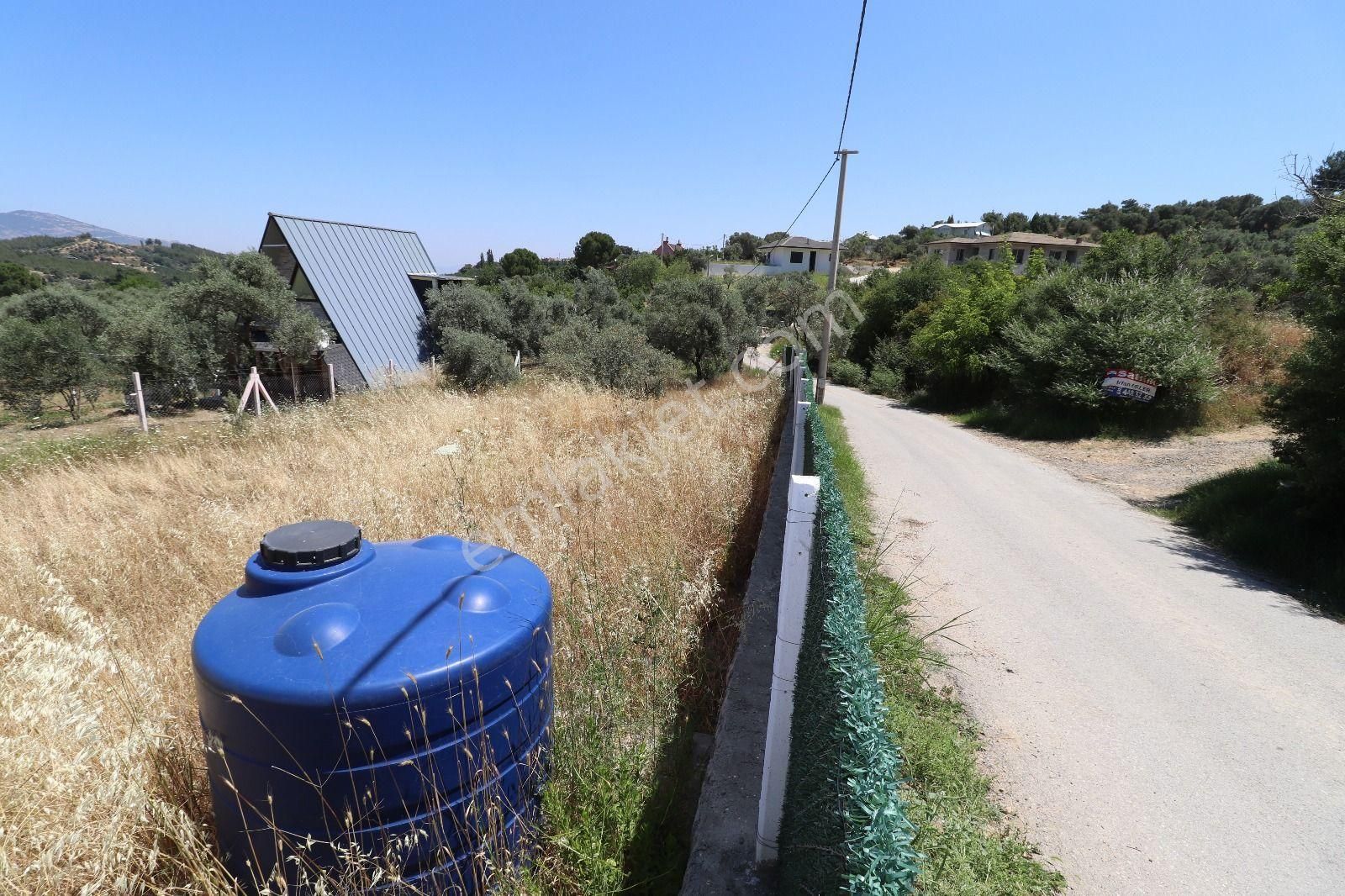 Kemalpaşa Yukarıkızılca Da 500 M2 Bahçe