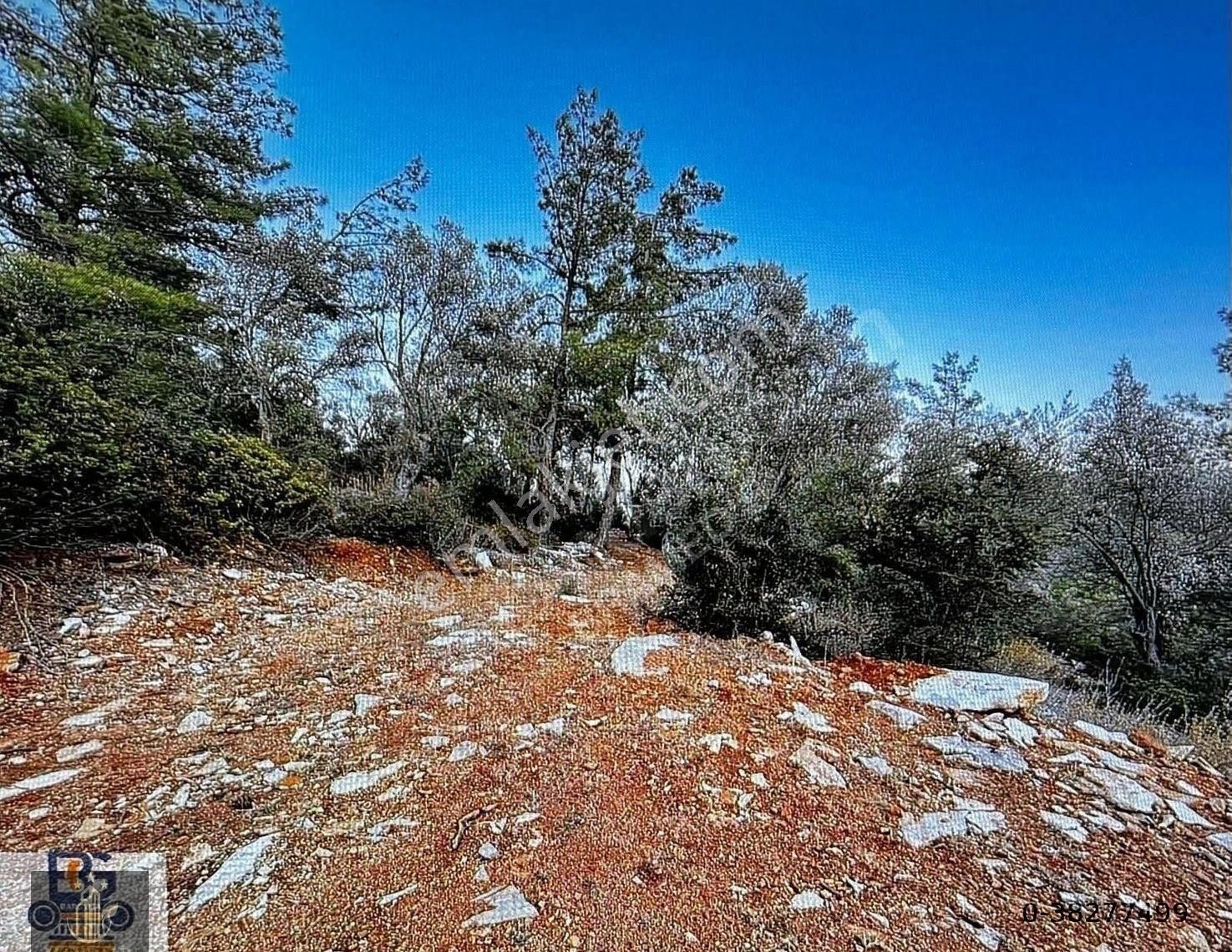 Bodrum Çamlık 4ve 6 Numaralı 400 M2 Parselimiz Satılıktır.