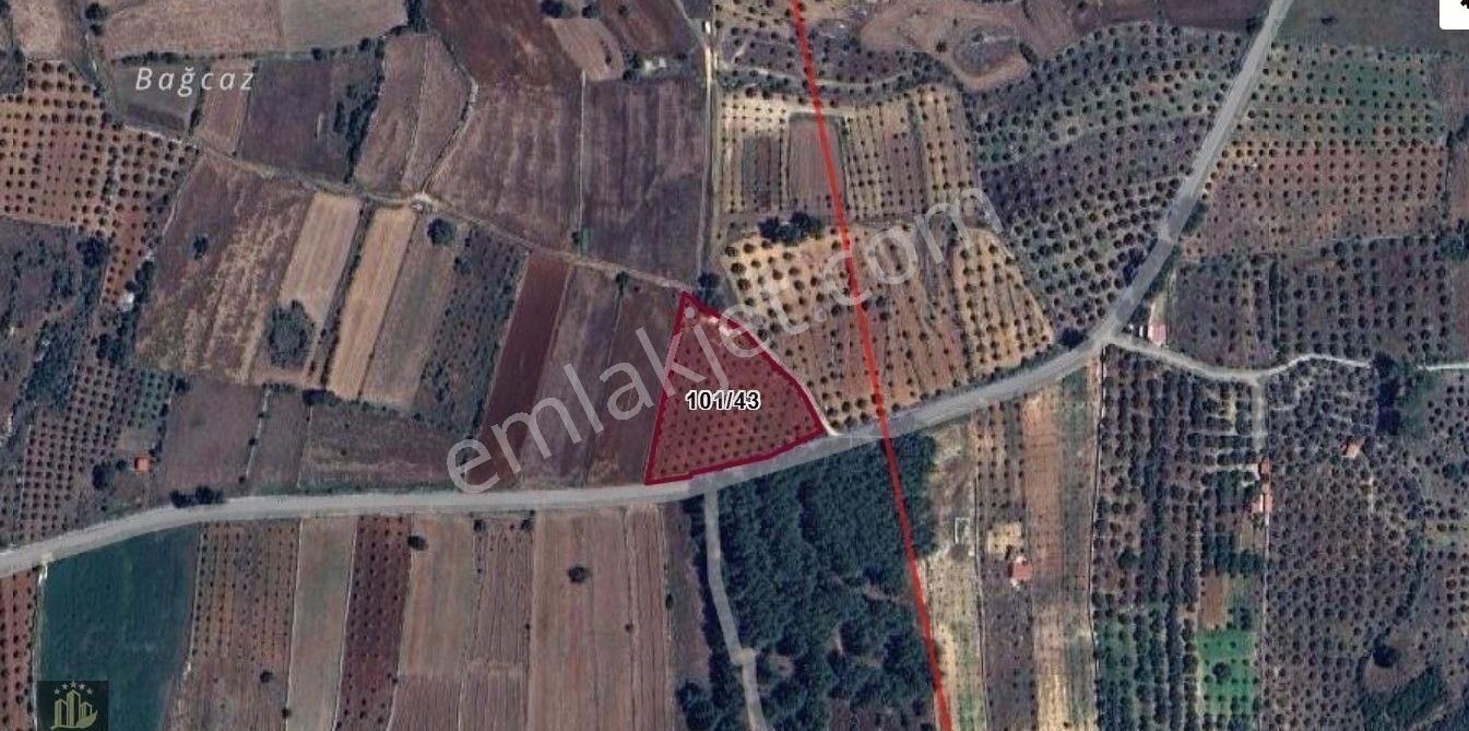 Elvan Özçelik'den Karacahisar'da Asfalt Yola Cepheli Tarla - Görsel 5