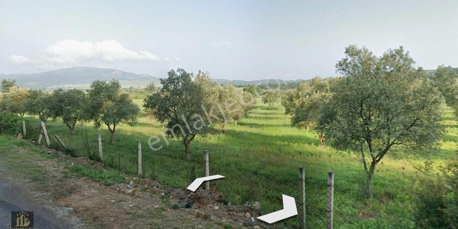 Elvan Özçelik'den Karacahisar'da Asfalt Yola Cepheli Tarla - Görsel 13