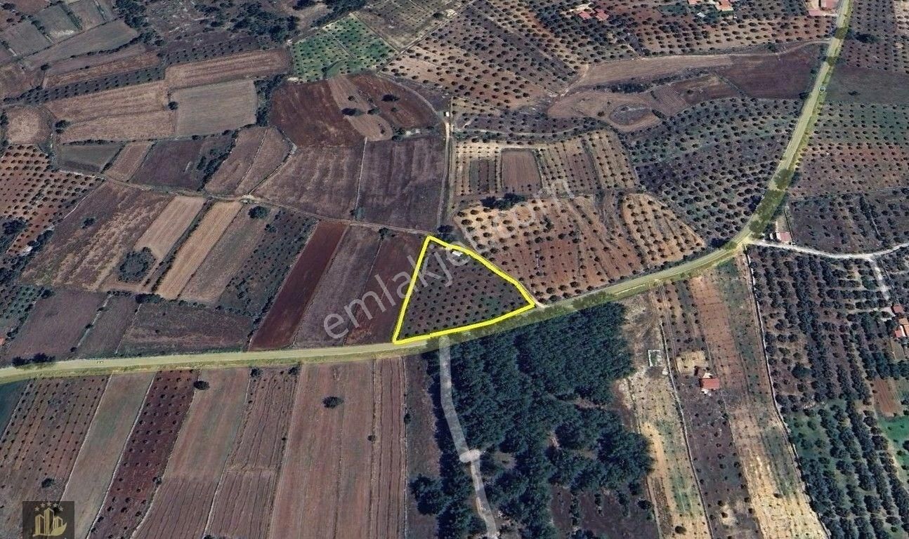 Elvan Özçelik'den Karacahisar'da Asfalt Yola Cepheli Tarla