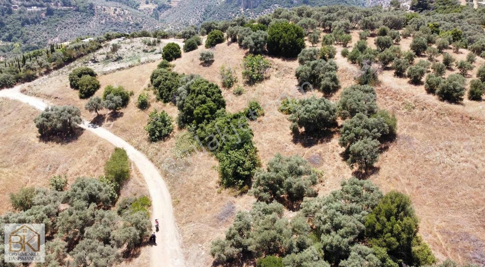 Selçuk-şirince Köyünde Satılık 1727 M2 Bahçe