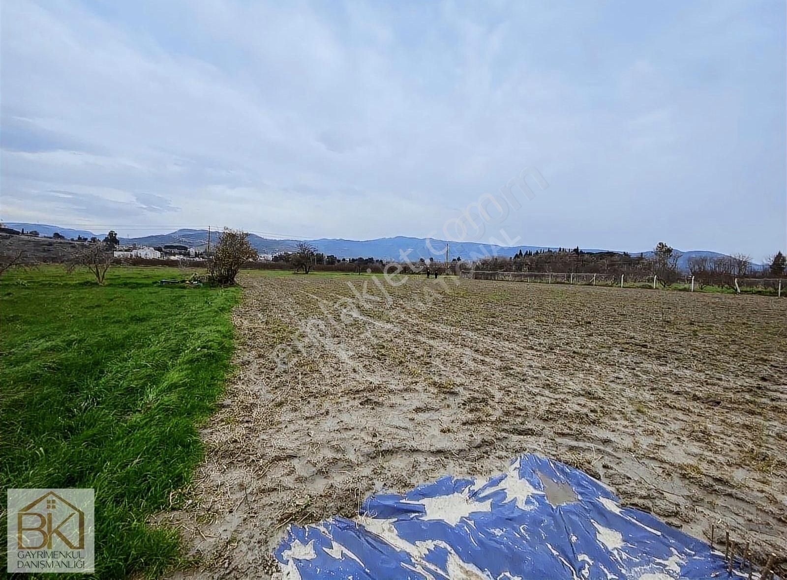 İzmir Selçuk İngilizçukuru Mevkiinde Satılık 2.739m2 Tarla