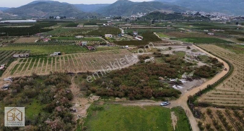 Selçuk'a Yürüme Mesafesinde 1600 M2 Satılık Tarla