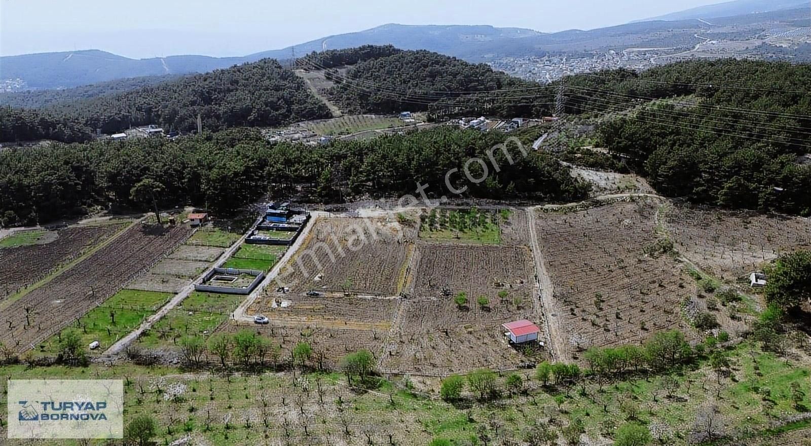 Turyap Bornova'dan Yakaköy'de Satılık 750 M2 Bağ Bahçe