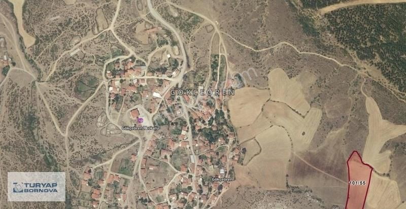Balıkesir Gökçeören'de 6700 M2 Satılık Tarla