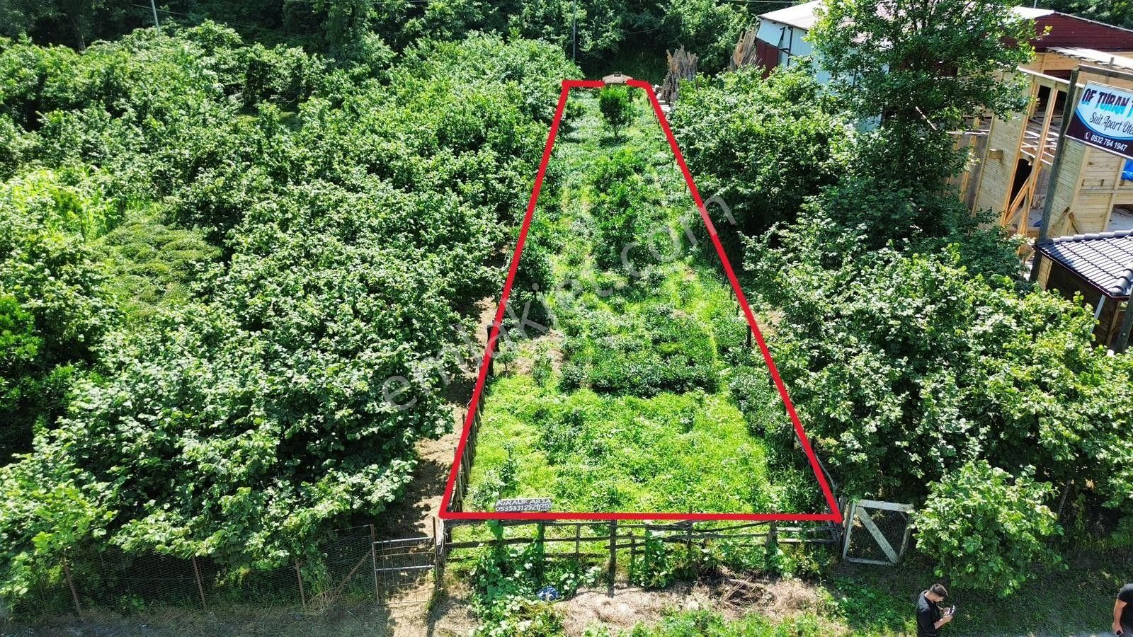 Hızır Gündoğdu'dan Of-uzungöl Yolu Üzerinde Kiralık Tarla