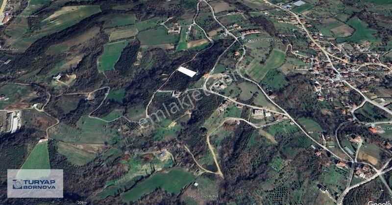 Yalova Merkez Kirazlı'da Yol Cepheli 1592 M2 Müstakil Tapulu Bağ