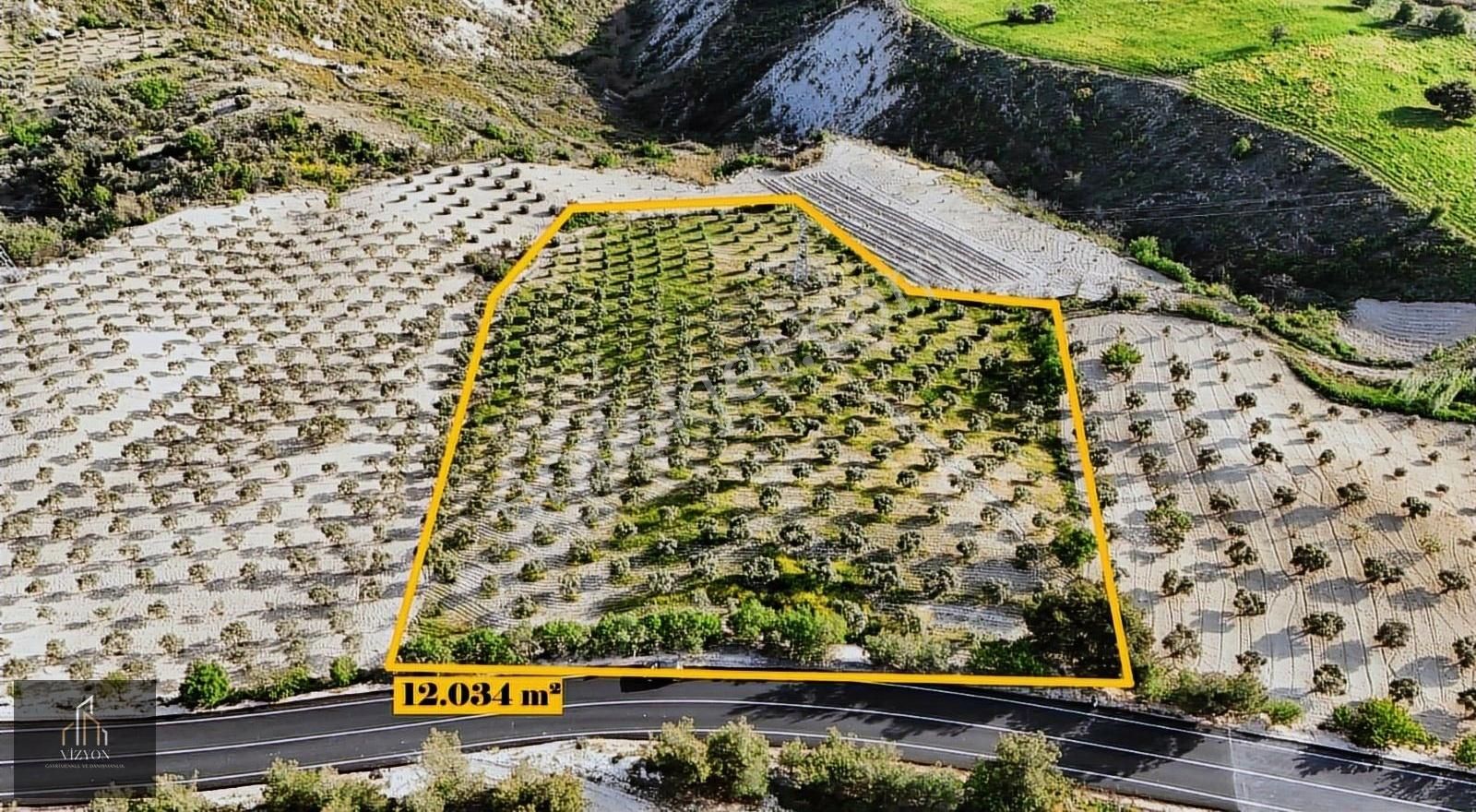 Vizyon Gayrimenkul'den Altınözü Dokuzdal'da 12 Dönüm Tarla