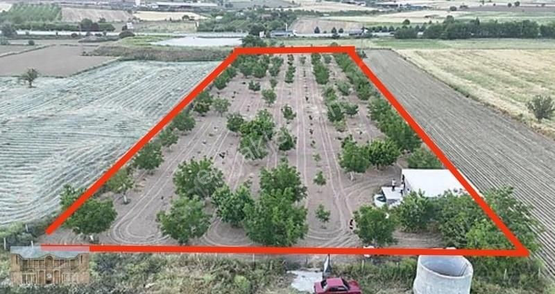 Satılık Kula Anayolda 10 Dönüm Elektrik, Su 2+1 Evli Cevizlik