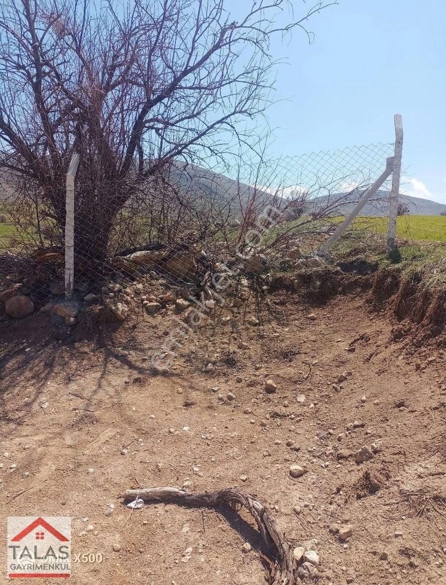 Talas Gayrimenkul'den Gesi Büyük Bürüngüz Elektrik Ve Su Hazır