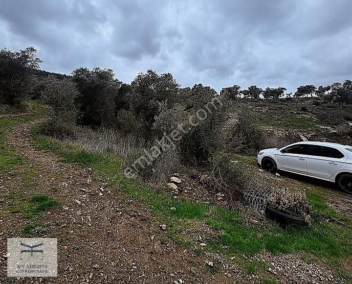 Kuzyaka'da 2 Dönüm Müstakil Arazi