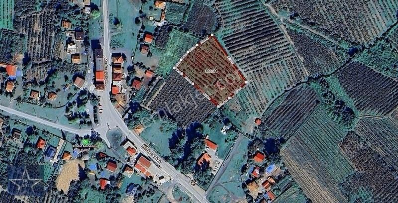 Samsun Çarşamba Kızılotda Satılık Tarla