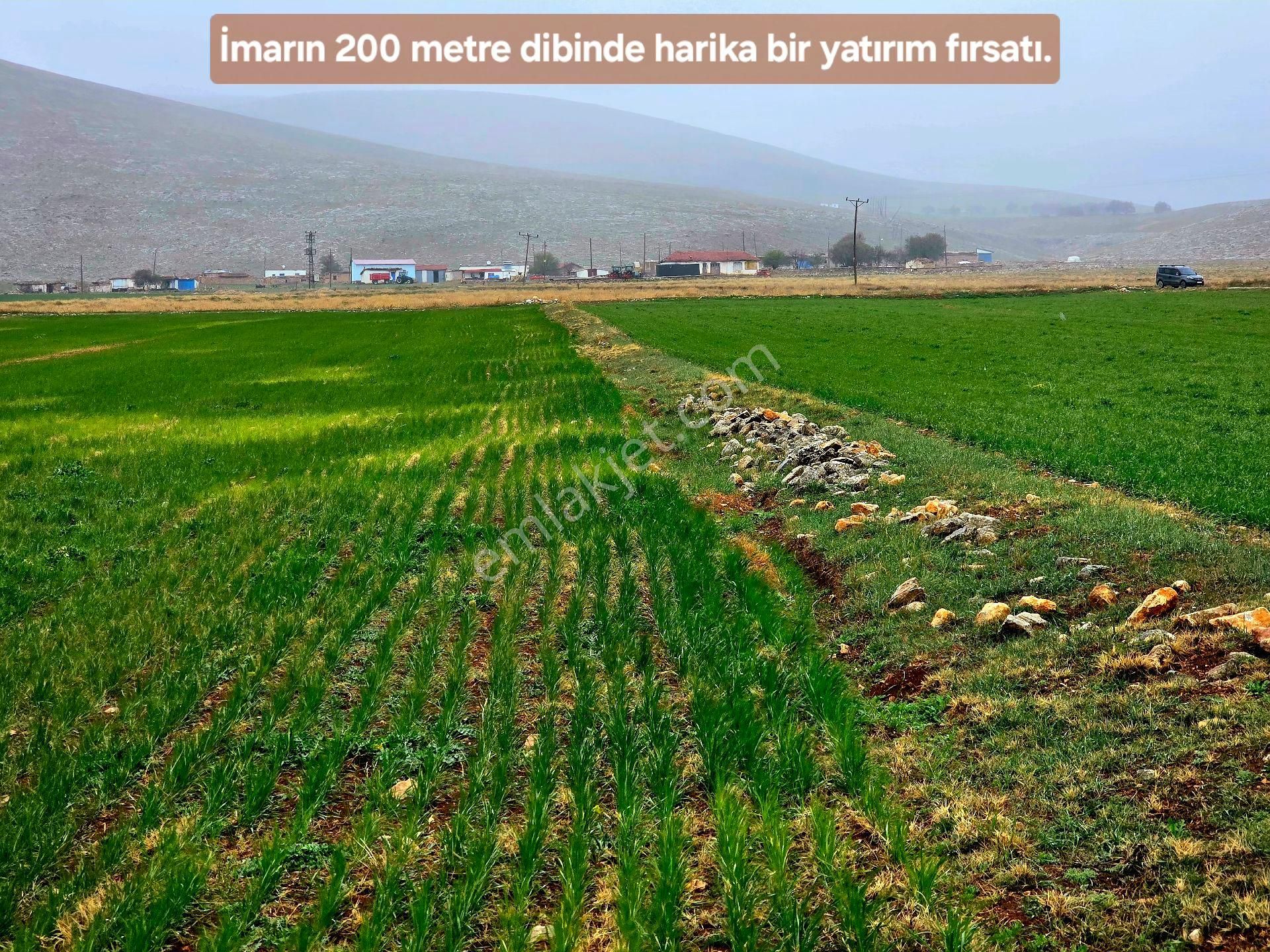 Afyon Emirdağ Leylekli'de 6.625 M2 Köy İçi, Çift Yola Cepheli Yatırımlık Tarla. Açıklamayı Okuyunuz.