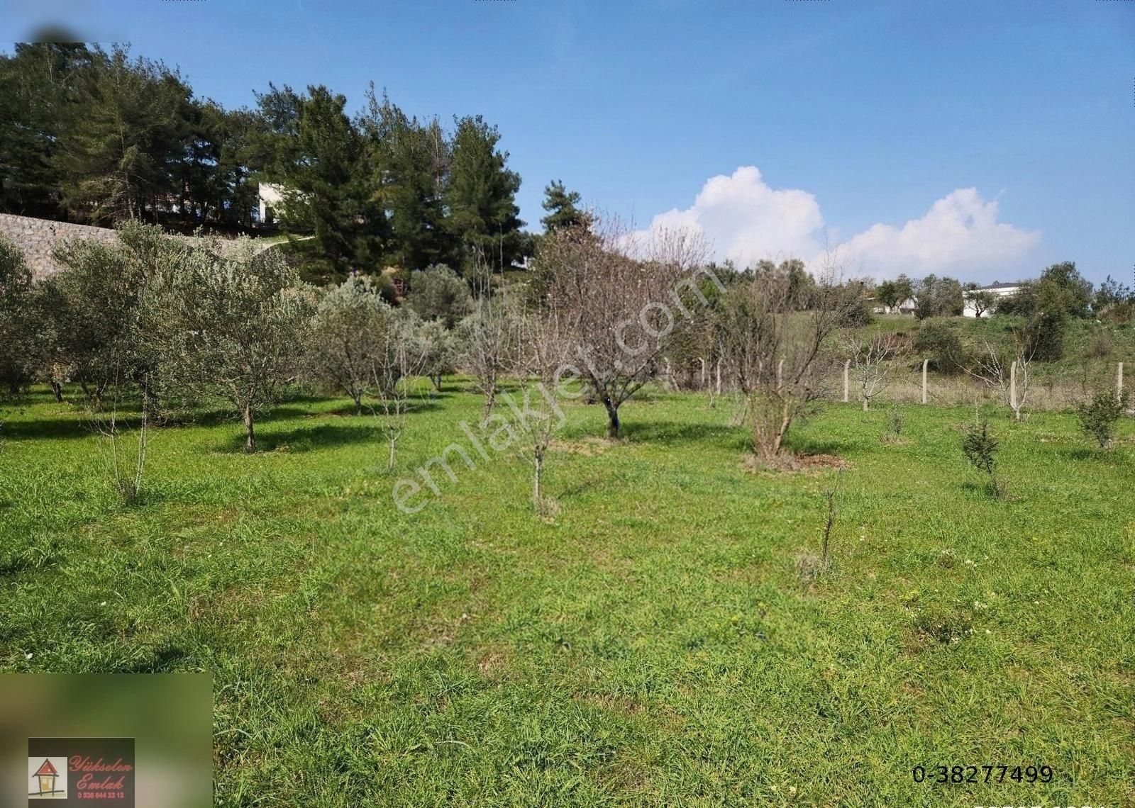 Kemalpaşa Örnekköy'de Satılık 1000m2 Köşe Konumda Villa Arsası - Görsel 17