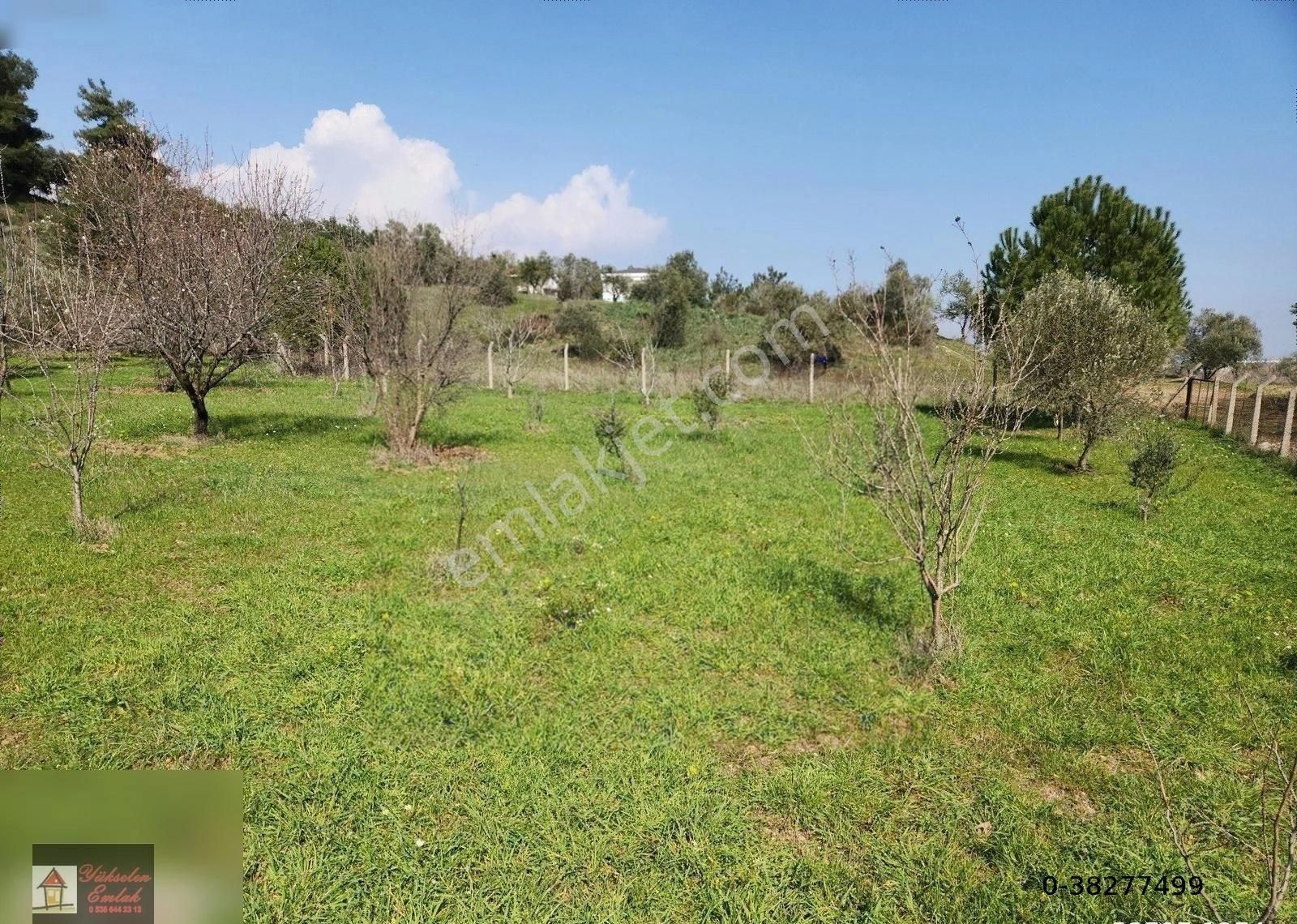 Kemalpaşa Örnekköy'de Satılık 1000m2 Köşe Konumda Villa Arsası - Görsel 9