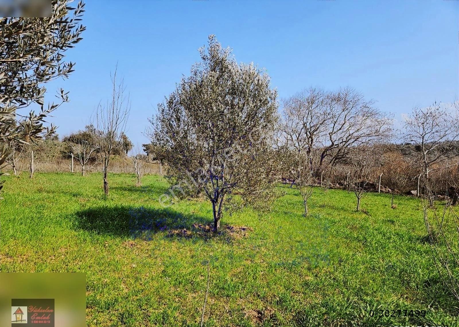 Kemalpaşa Örnekköy'de Satılık 1000m2 Köşe Konumda Villa Arsası - Görsel 23