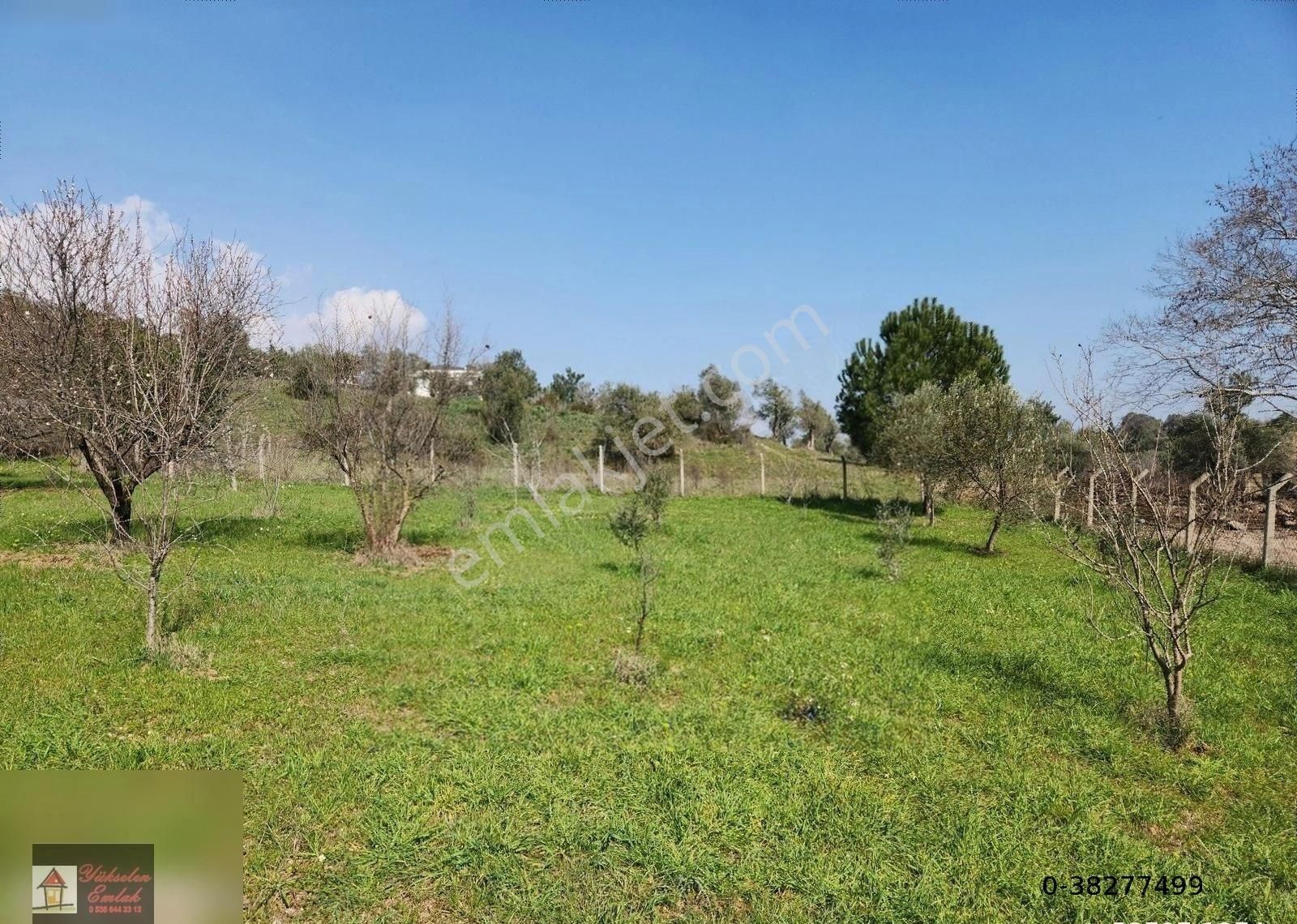 Kemalpaşa Örnekköy'de Satılık 1000m2 Köşe Konumda Villa Arsası - Görsel 3