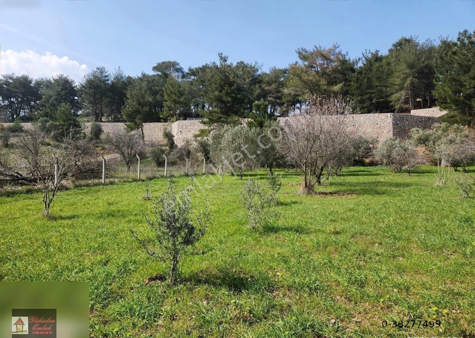 Kemalpaşa Örnekköy'de Satılık 1000m2 Köşe Konumda Villa Arsası - Görsel 2