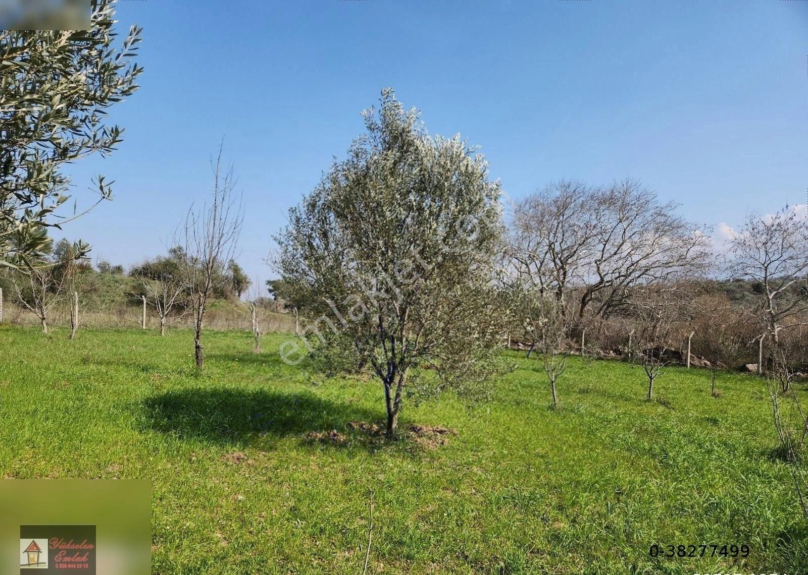 Kemalpaşa Örnekköy'de Satılık 1000m2 Köşe Konumda Villa Arsası - Görsel 4