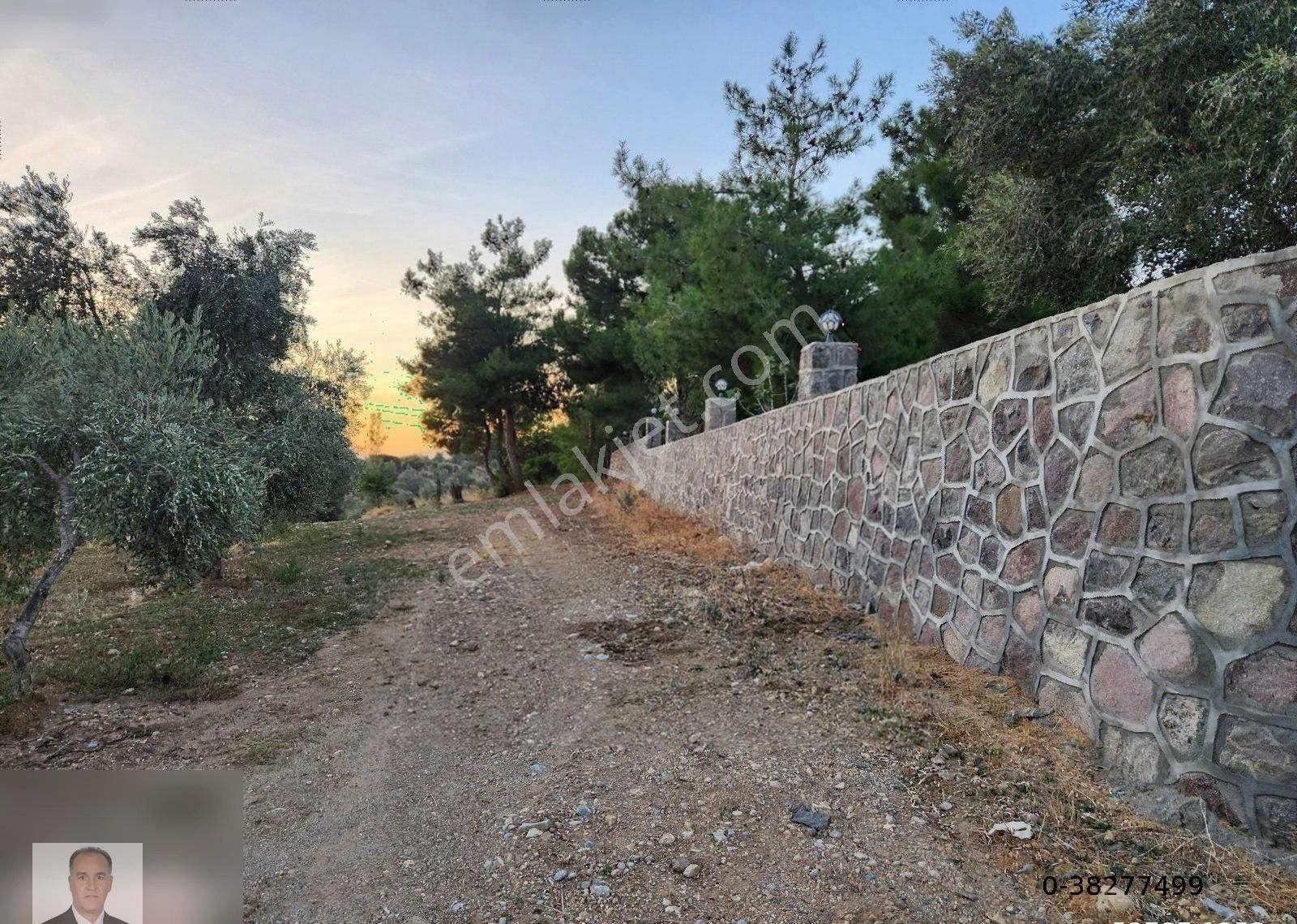 Kemalpaşa Lojistik Köy'de Yatırımlık 1953m2 Satılık Zeytinlik