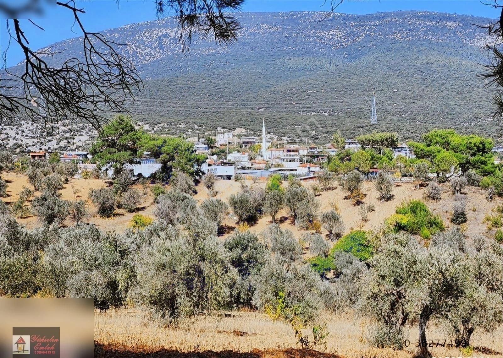 Kemalpaşa'da Çam Ağaçları İçerisinde 350m2 Satılık Arsa