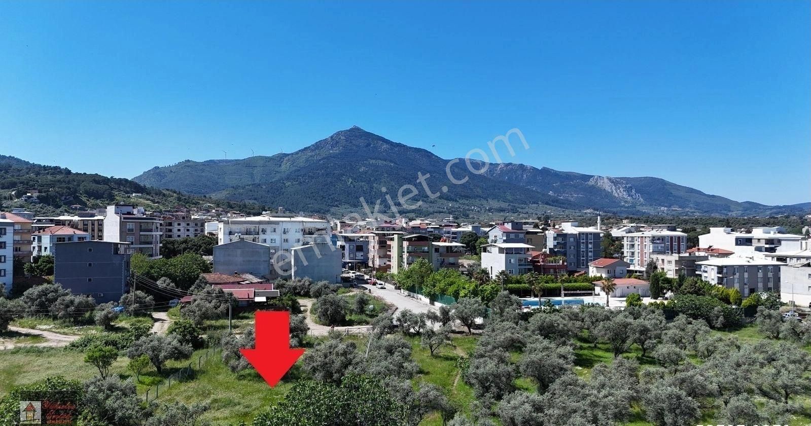 Kemalpaşa Armutlu Merkez'de Satılık 791m2 Yatırımlık Arazi - Görsel 10