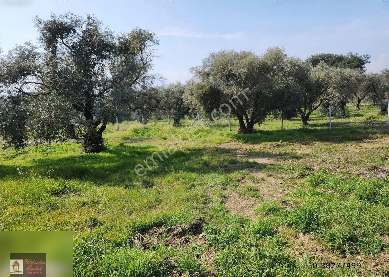 Kemalpaşa Armutlu Merkez'de Satılık 791m2 Yatırımlık Arazi - Görsel 2