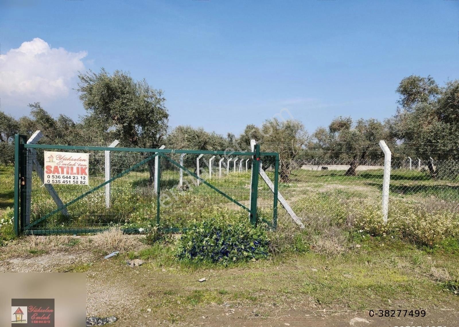 Kemalpaşa Armutlu Merkez'de Satılık 791m2 Yatırımlık Arazi - Görsel 13