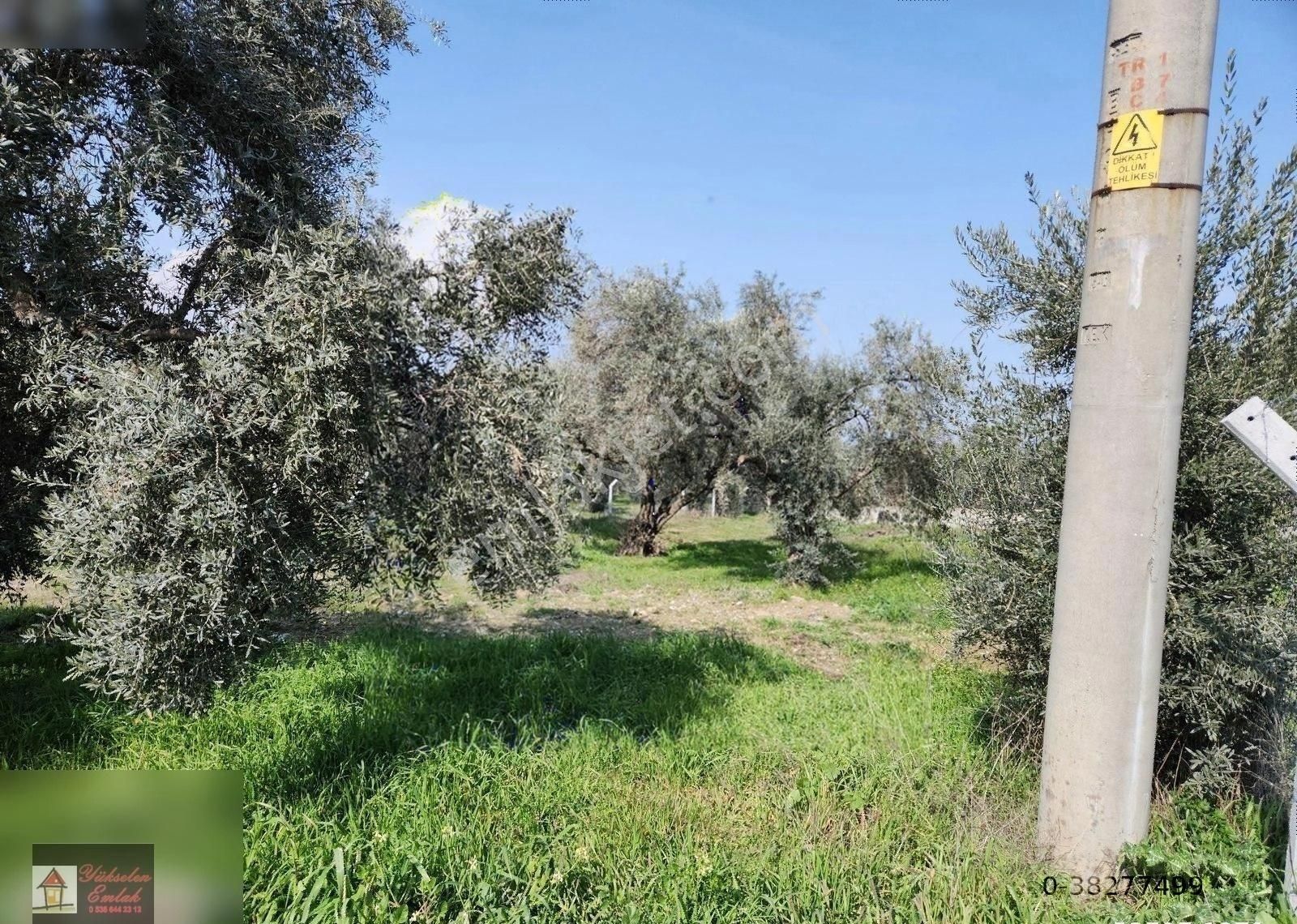 Kemalpaşa Armutlu Merkez'de Satılık 791m2 Yatırımlık Arazi - Görsel 34