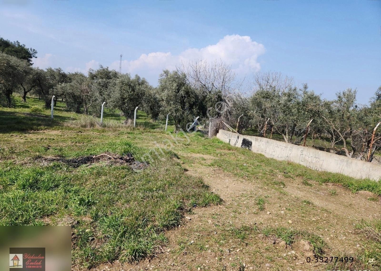 Kemalpaşa Armutlu Merkez'de Satılık 791m2 Yatırımlık Arazi - Görsel 6
