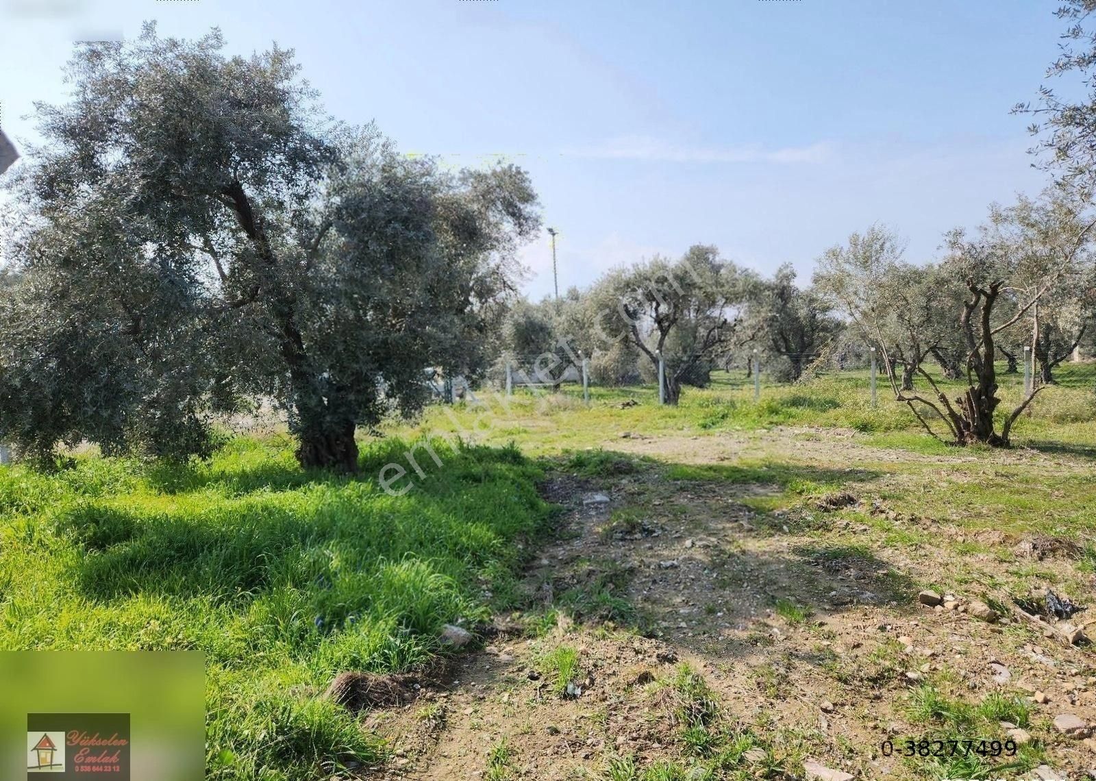 Kemalpaşa Armutlu Merkez'de Satılık 791m2 Yatırımlık Arazi - Görsel 32