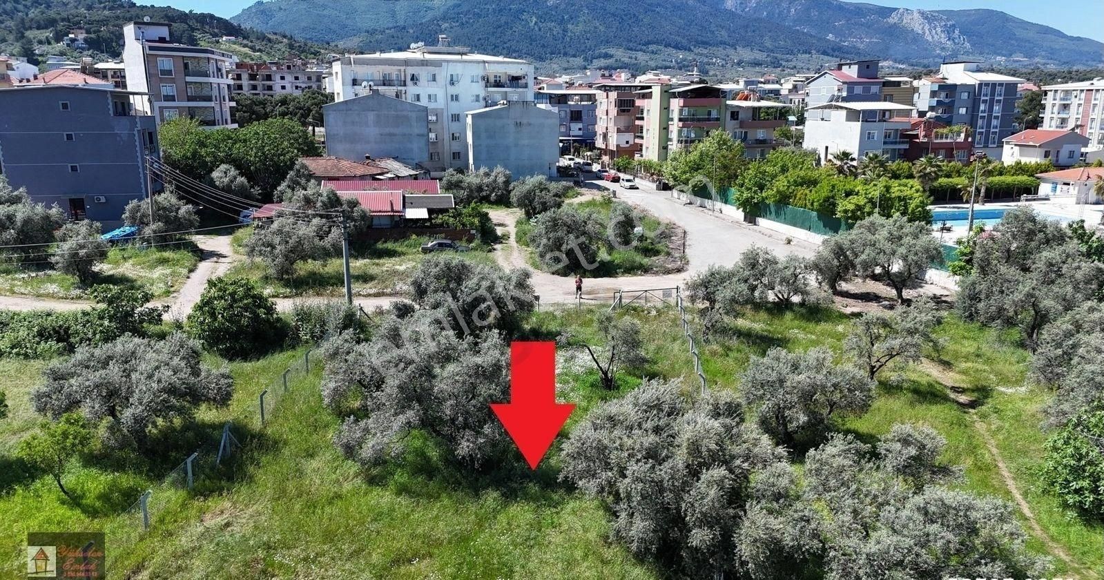 Kemalpaşa Armutlu Merkez'de Satılık 791m2 Yatırımlık Arazi - Görsel 9